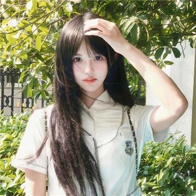野探哈莉第四季