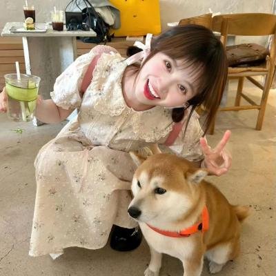 天使的声音