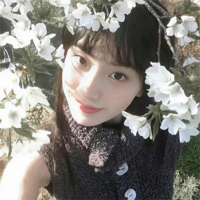 蜘蛛梦魇